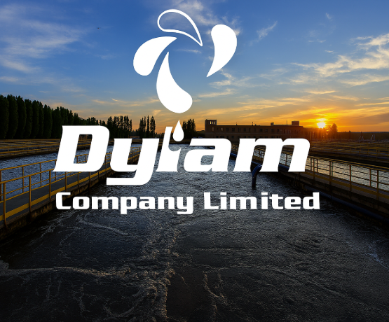 Logo of Dylam Company Limited featuring a modern and professional corporate design.
